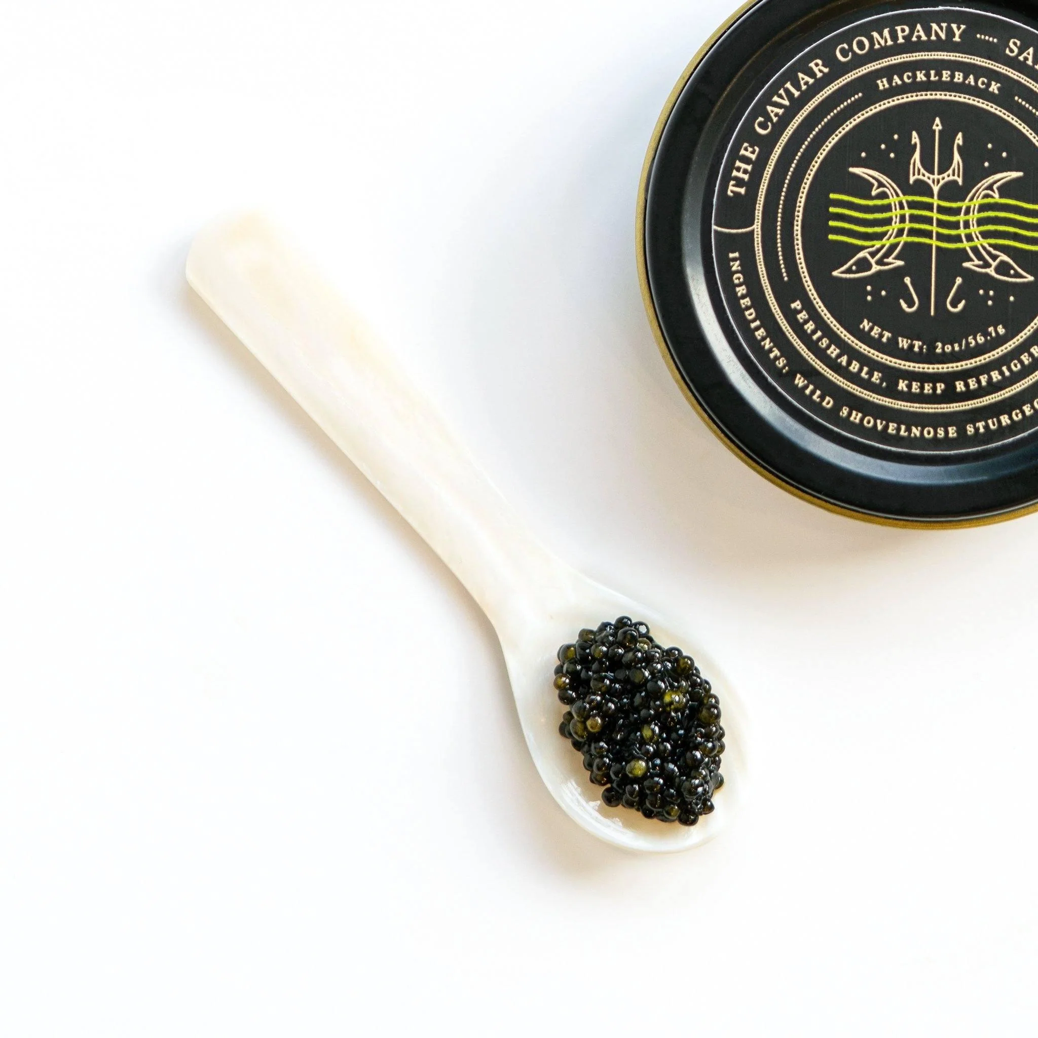 Hackleback Caviar - Image 4