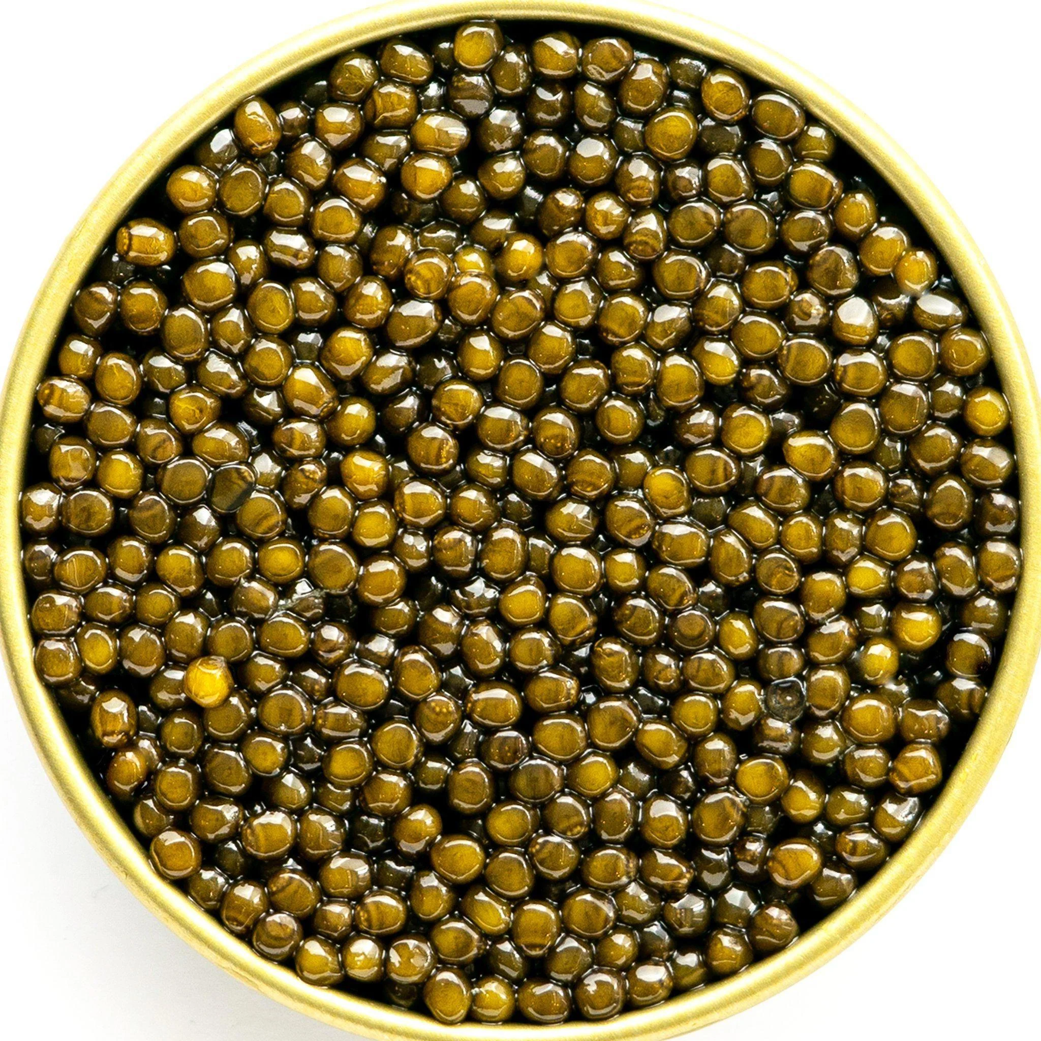 Special Edition Harwell Godfrey Imperial Golden Osetra Caviar - Image 6