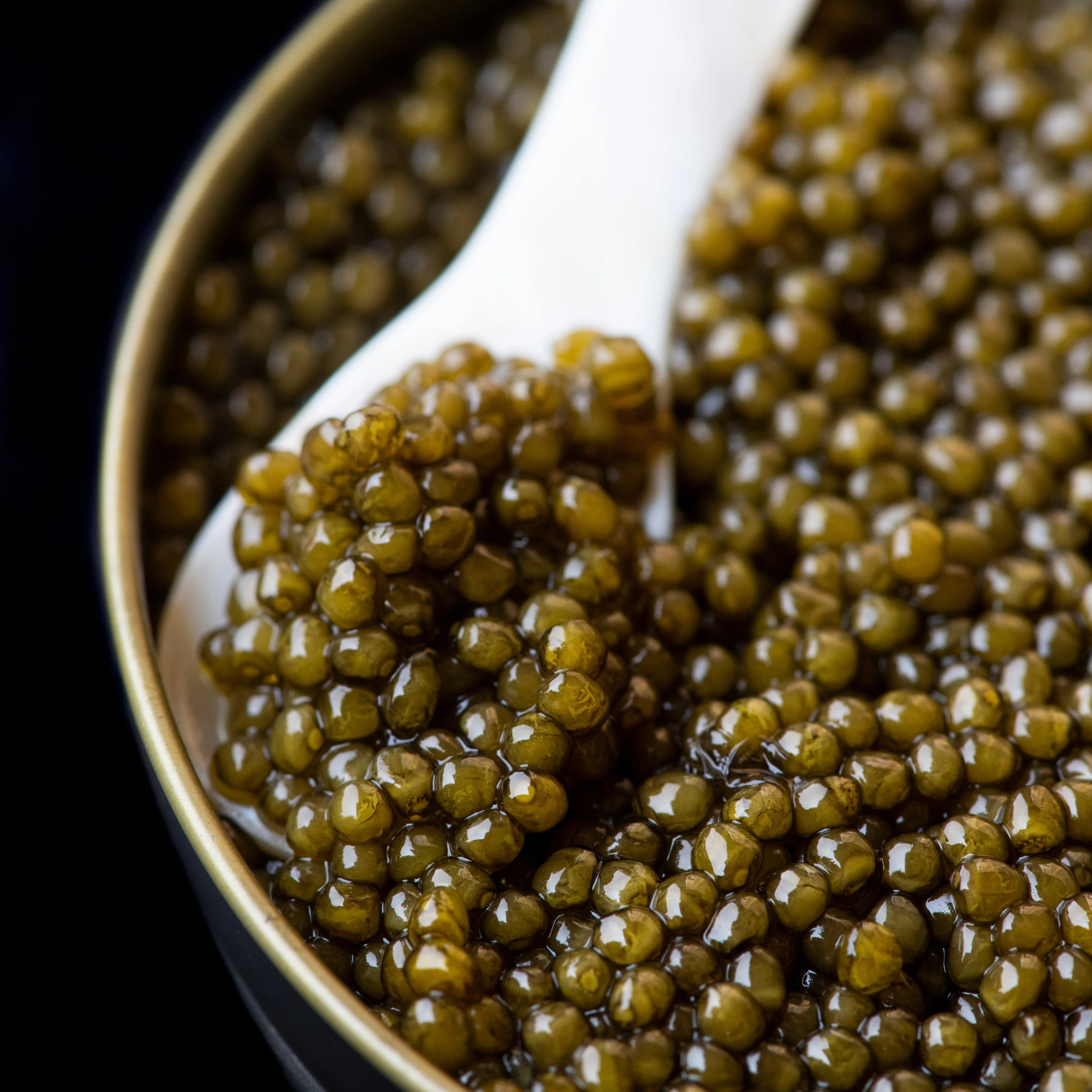 Imperial Golden Osetra Caviar - Image 8
