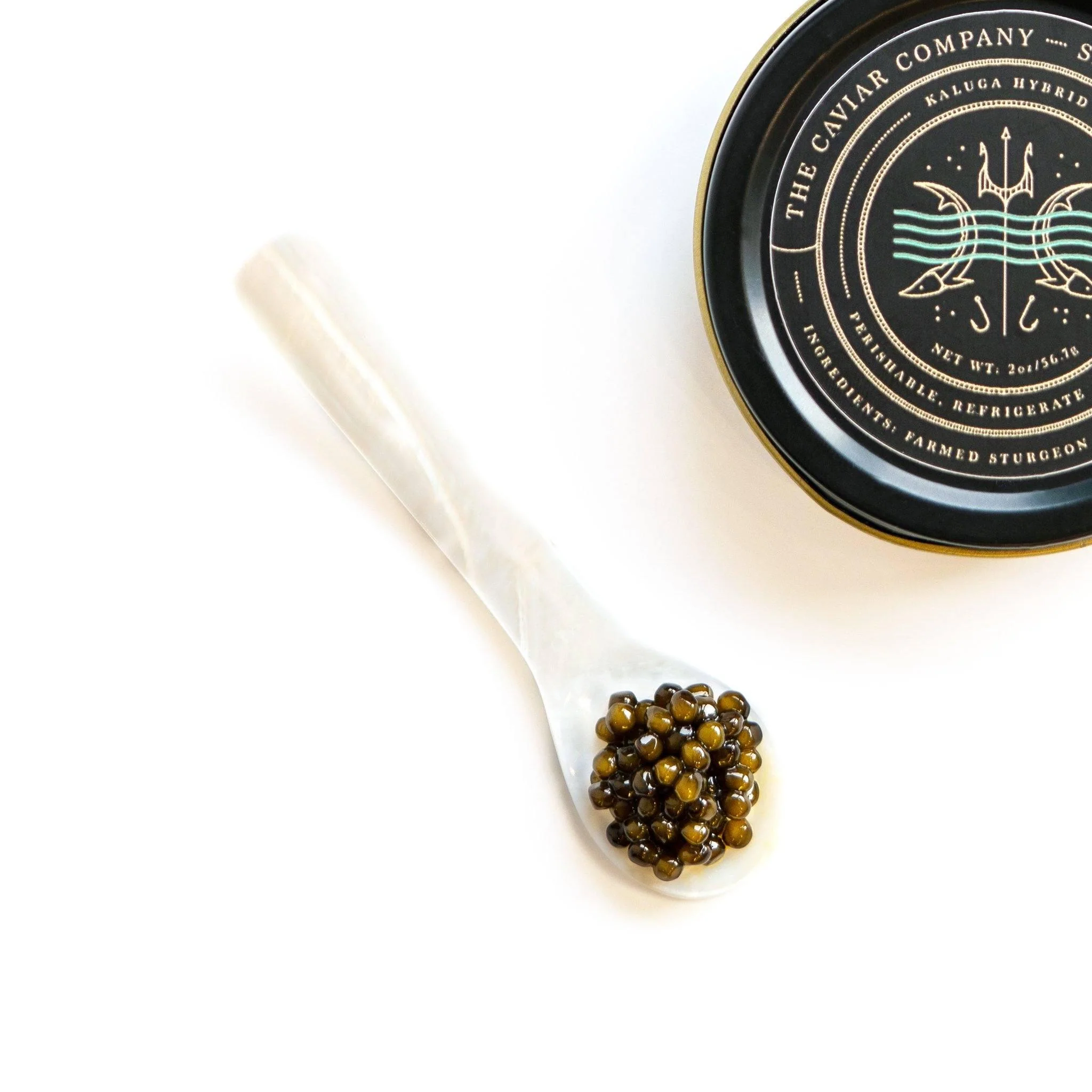 Kaluga Hybrid Caviar - Image 4
