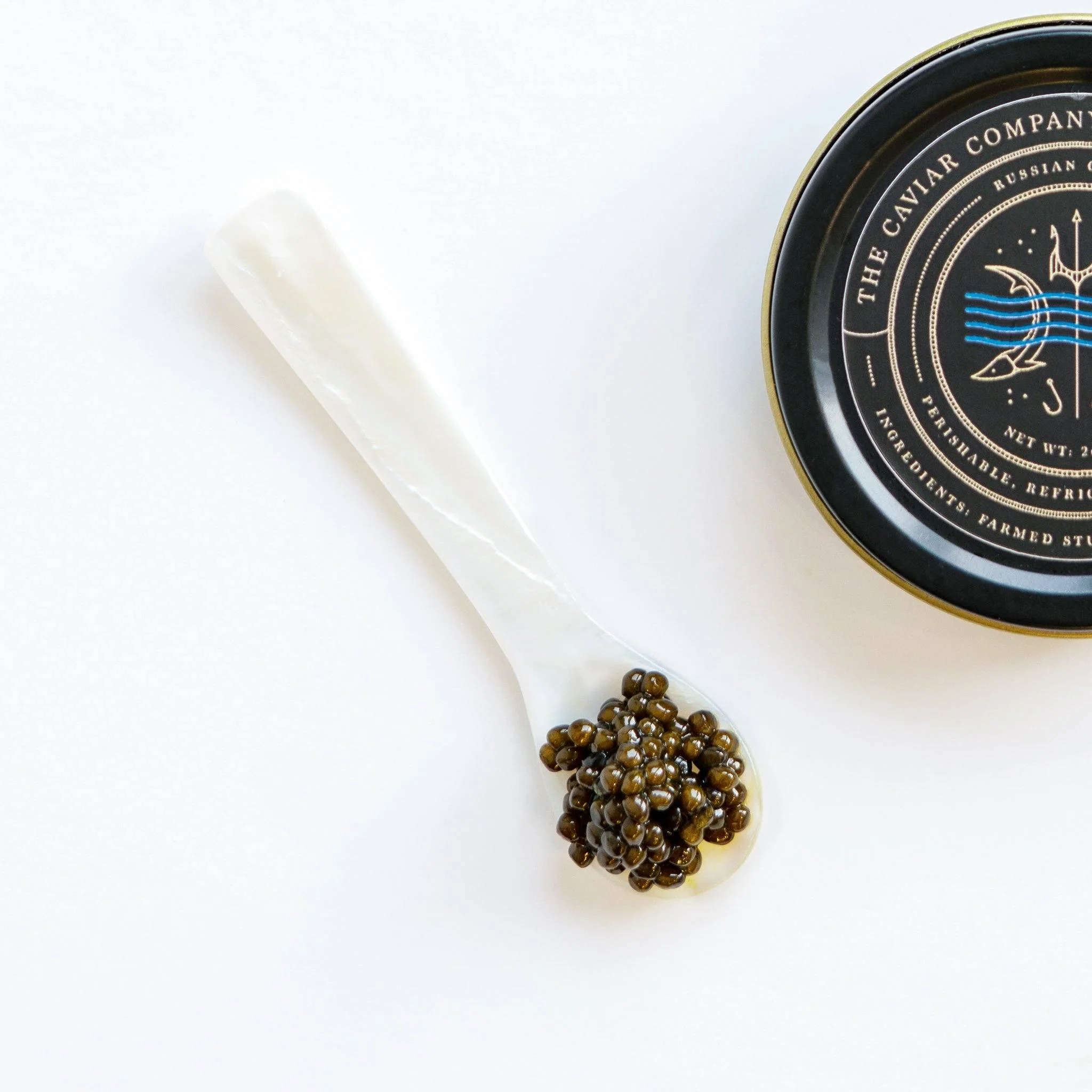 Osetra Caviar - Image 4