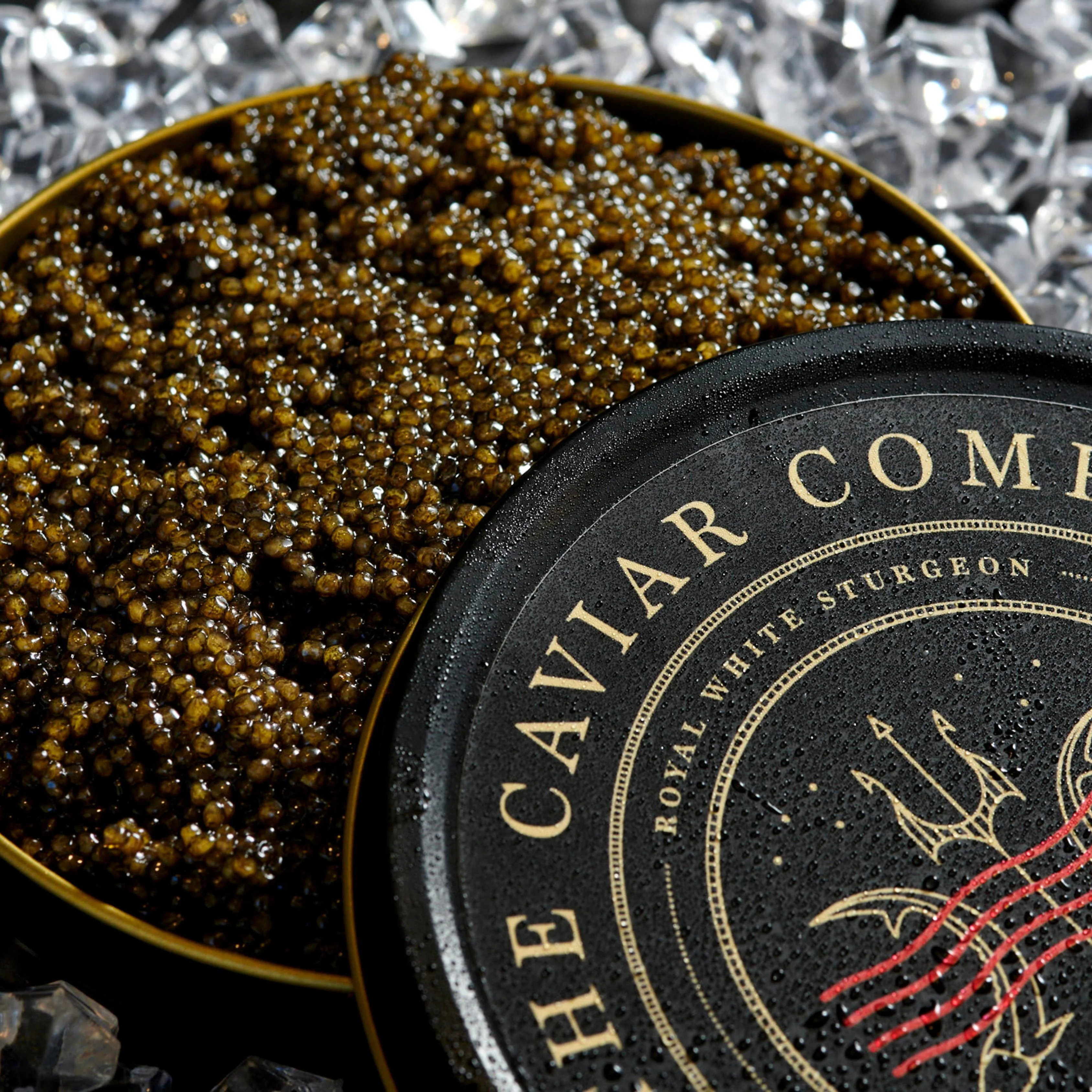 Royal White Sturgeon Caviar - Image 7