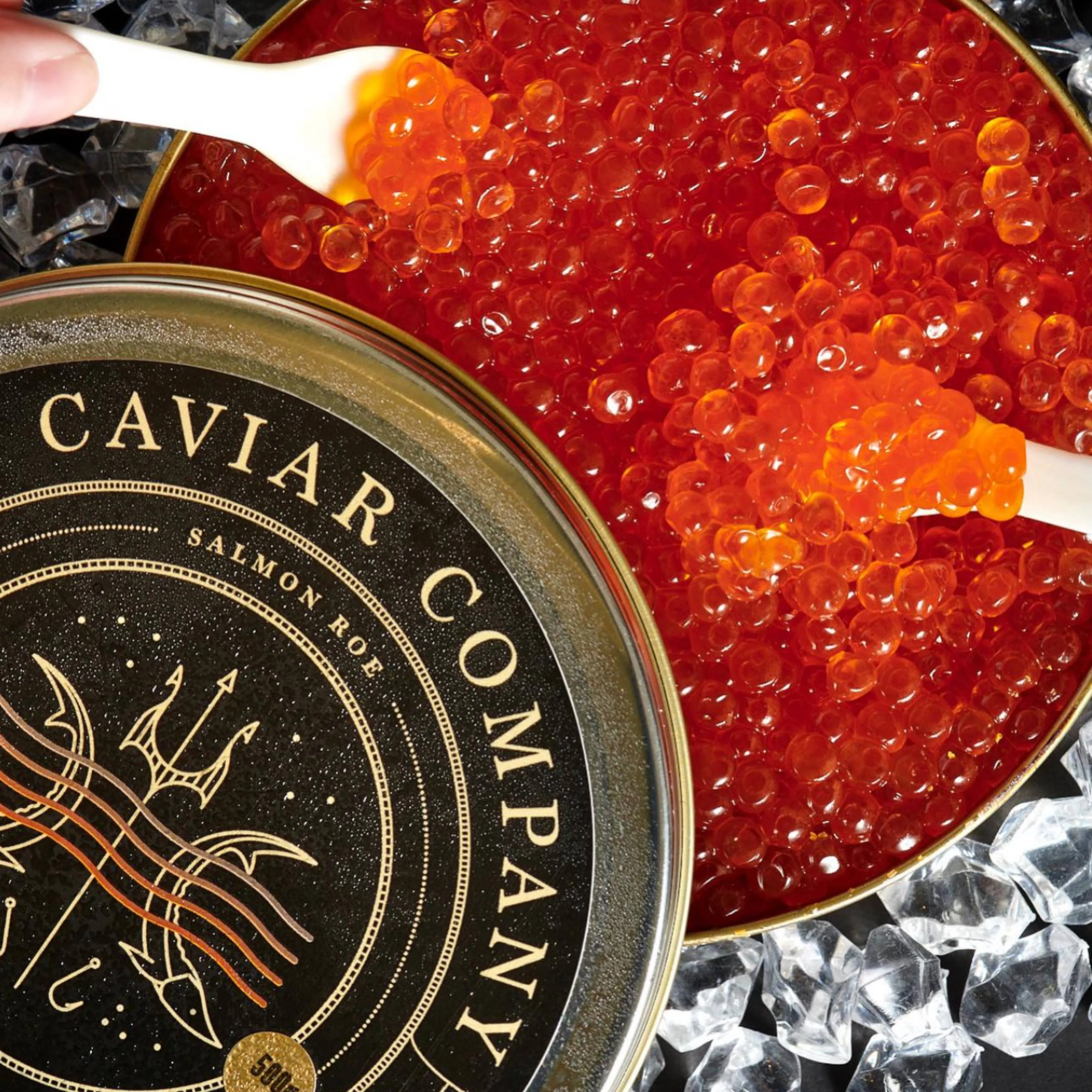 Salmon Roe - Image 7