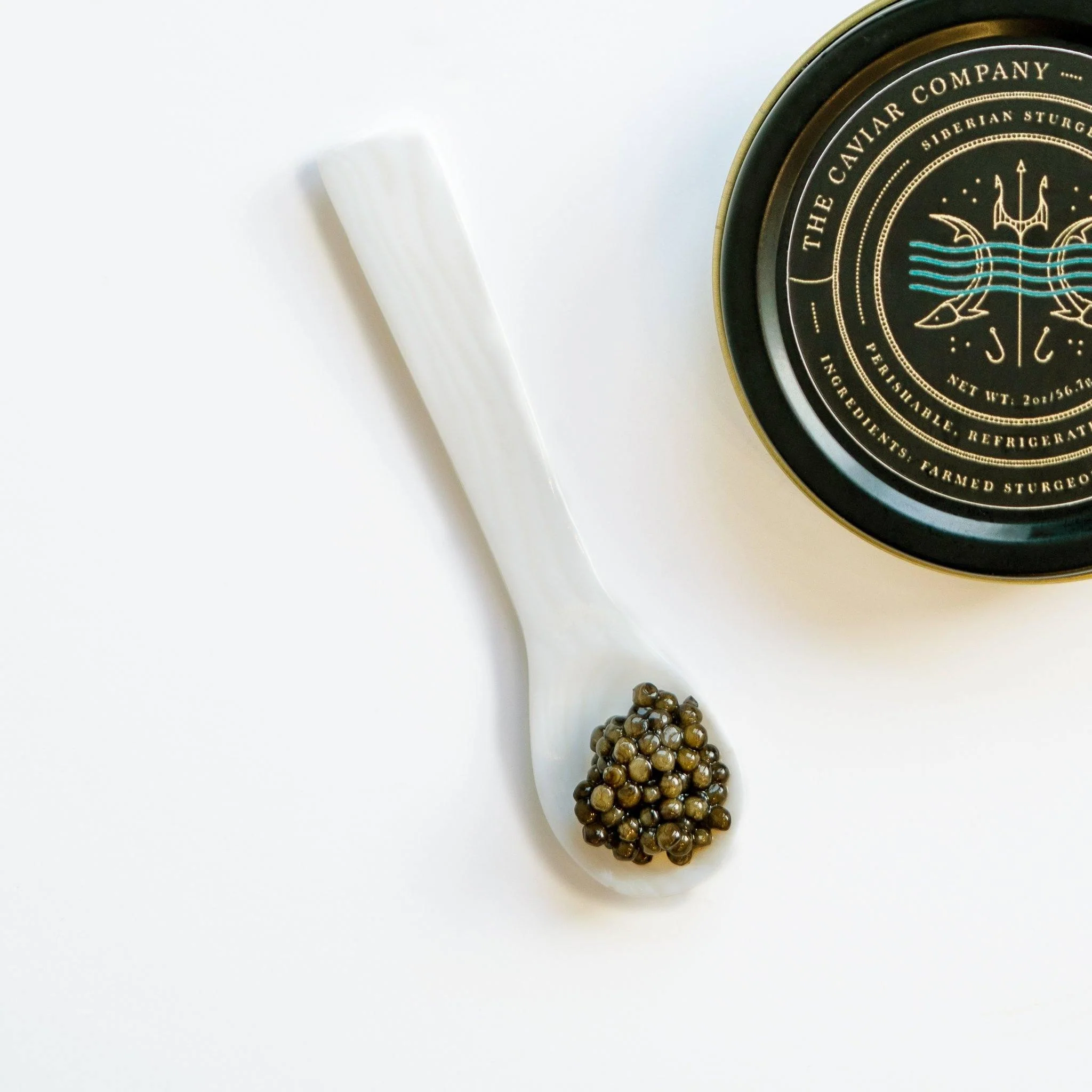 Siberian Sturgeon Caviar - Image 4