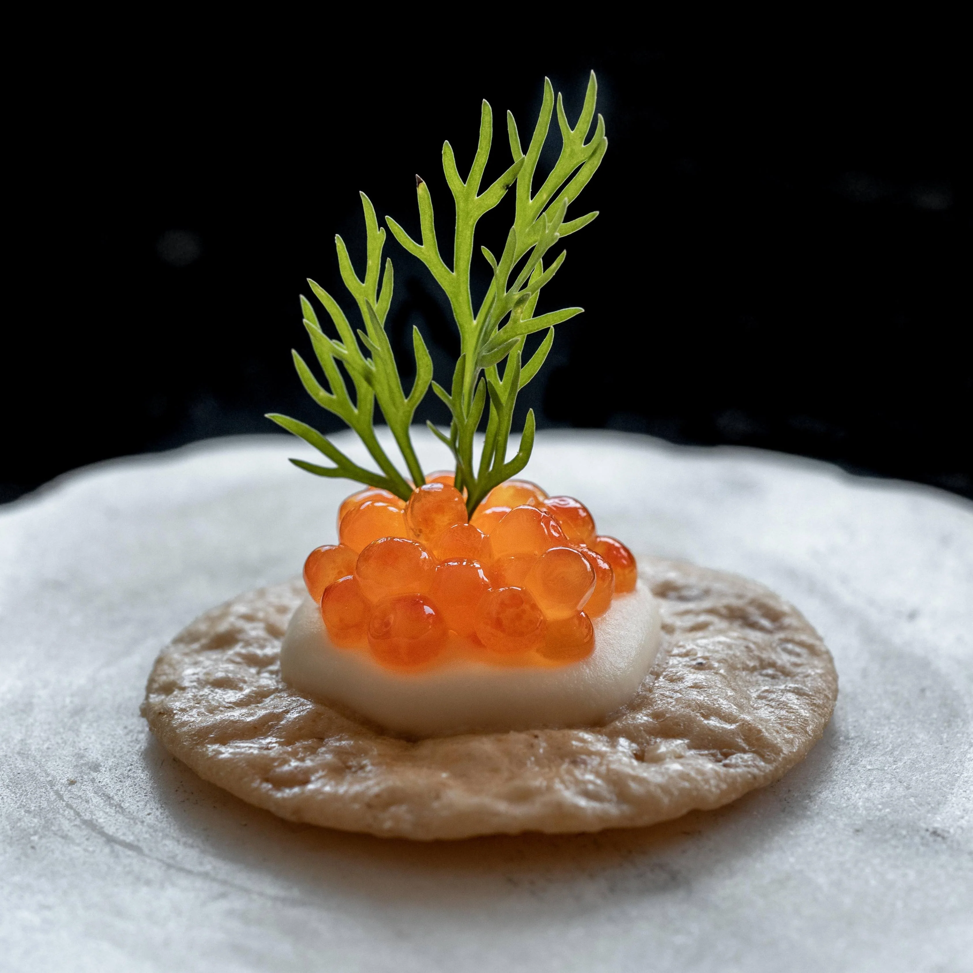 Trout Roe - Image 6